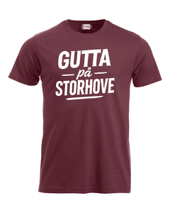 Hovedbilde Gutta på Storhove tee